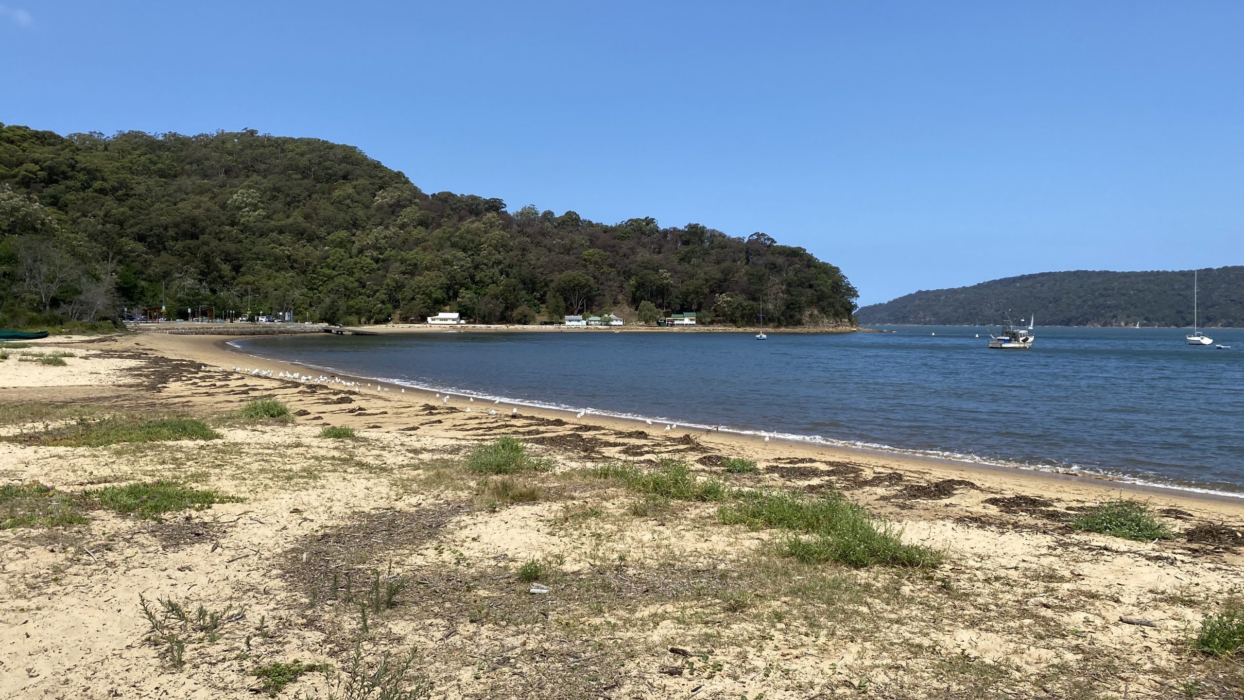 Exploring the amazing Brisbane Water National Park A Travelling Jack
