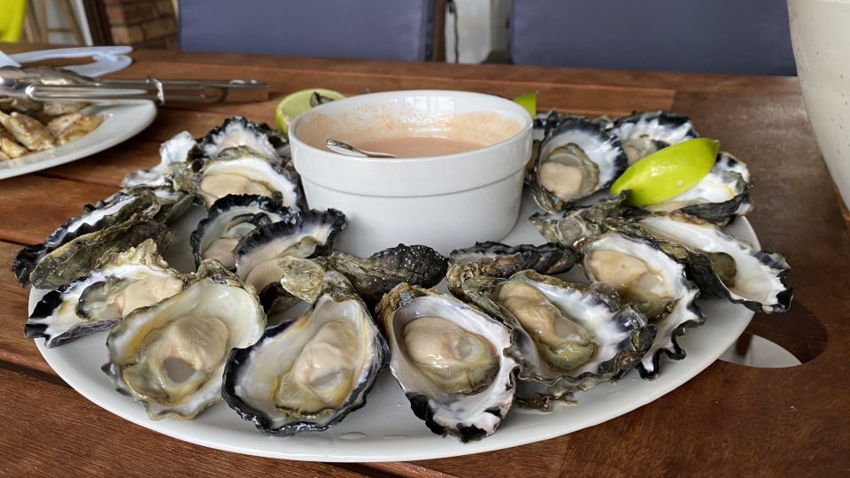 sydney rocks oysters
