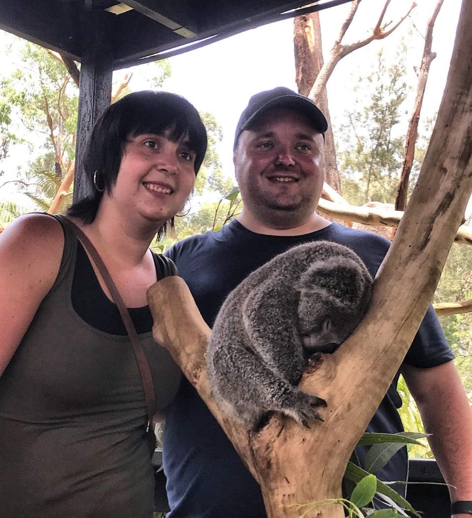 Photos with koalas 