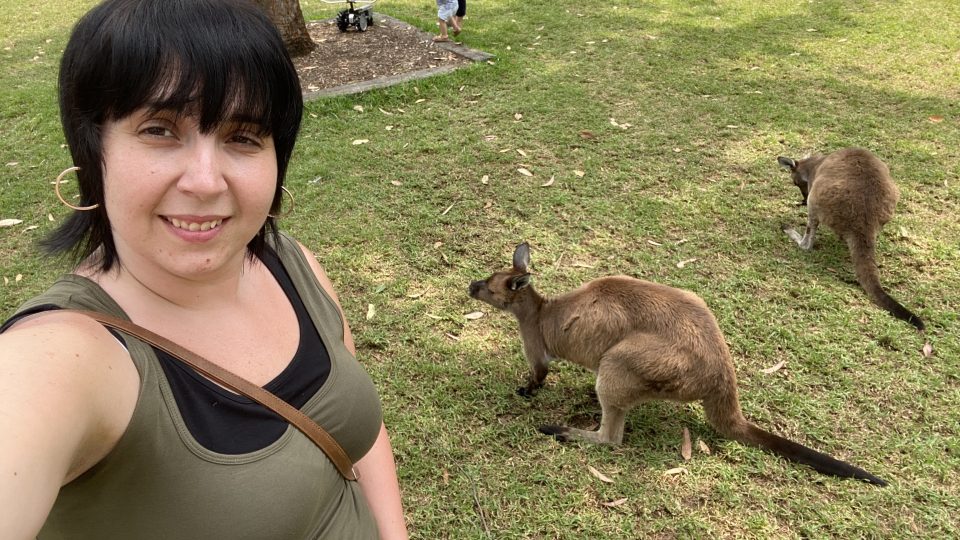kangaroos at Australian wildlife park